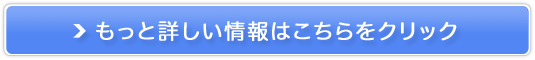 I[C@Aet̔TCg
